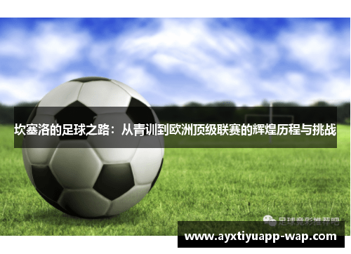 坎塞洛的足球之路：从青训到欧洲顶级联赛的辉煌历程与挑战