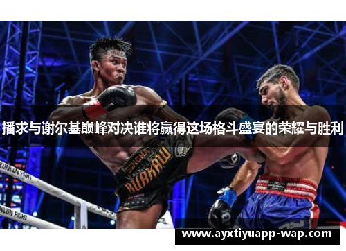 播求与谢尔基巅峰对决谁将赢得这场格斗盛宴的荣耀与胜利