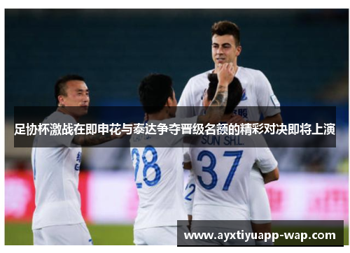 足协杯激战在即申花与泰达争夺晋级名额的精彩对决即将上演